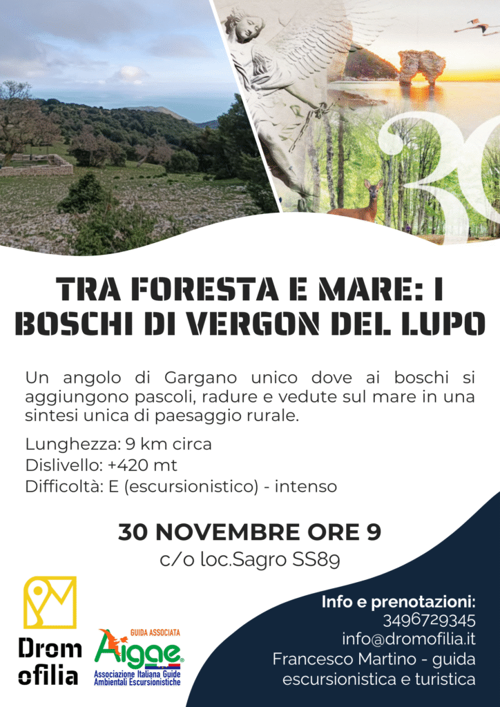 escursione Gargano foresta vista mare